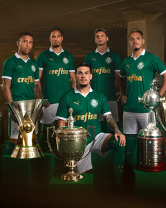 Palmeiras Home 2024