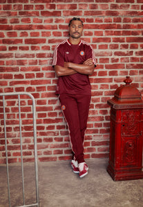 Bayern Munich Terrace Icons 24/25